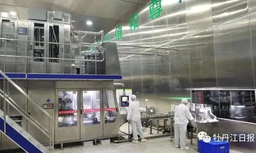 中俄跨境乳制品加工廠項目 前5個月奶制品產值增長超300