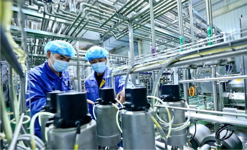 用新質生產力破解乳業困局 張掖新型乳制品走俏海內外鳳凰網甘肅 鳳凰網