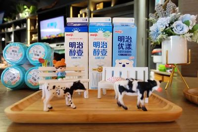 日本明治史上最大筆收購押注中國乳業,18億拿下澳亞25%股權