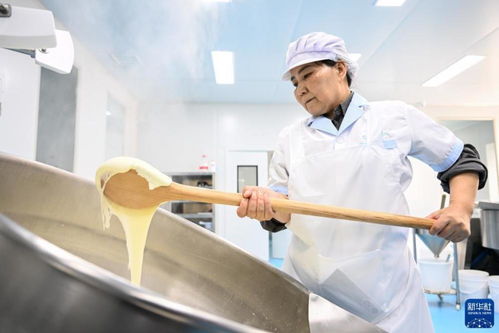 內蒙古鑲黃旗 傳統奶制品產業助力鄉村振興