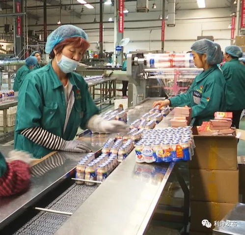 東營一大早乳業公司 精心打造國內一流乳品企業