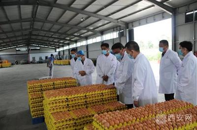 市復審辦檢查藍田縣、閻良區國家食品安全示范城市復審迎檢工作