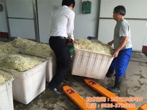 創(chuàng)業(yè)就選芽苗菜豆芽機(jī),四季陽(yáng)光食品機(jī)械,豆芽機(jī)